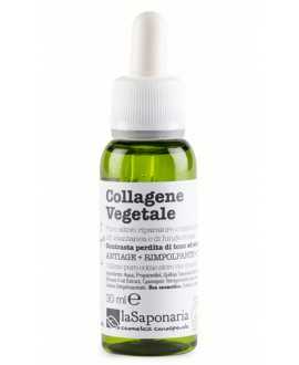 Botanical Collagen
