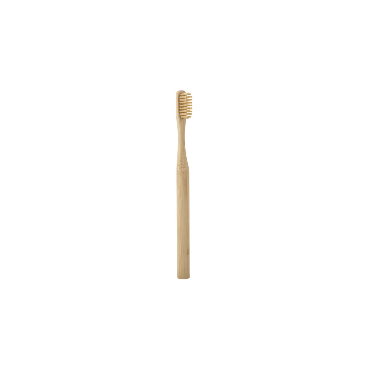 Toothbrush - Soft