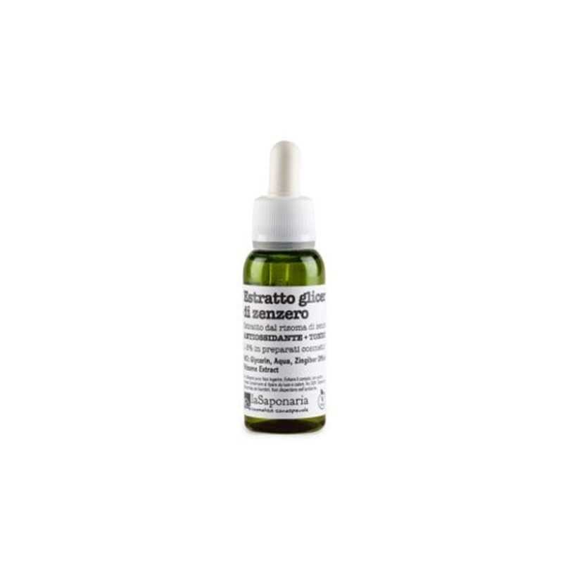 Ginger Extract - 30 ml