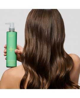 Shine & Hydrate Shampoo